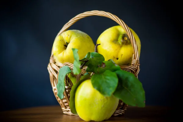 Frutti Mela Cotogna Gialli Maturi Cesto Isolato Fondo Nero — Foto Stock