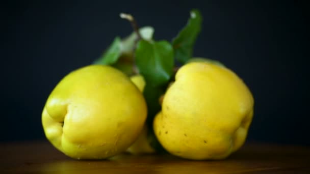 Membrillo de fruta madura aislado sobre fondo negro — Vídeos de Stock