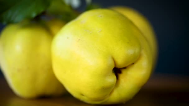 Marmelo de frutas maduras isolado sobre fundo preto — Vídeo de Stock