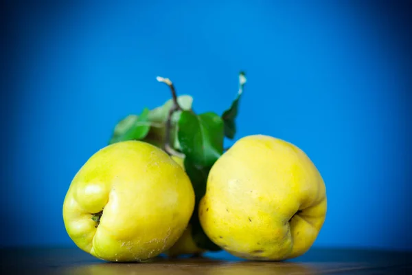 Rijp Geel Fruit Kweepeer Geïsoleerd Blauwe Achtergrond — Stockfoto