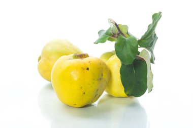 Beyaz arka plan üzerinde izole olgun meyve sarı ayva