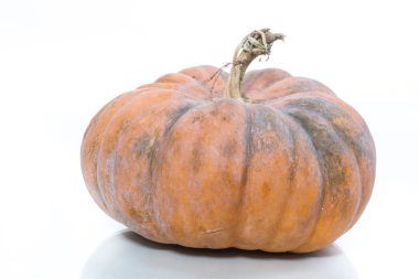 taze büyük yuvarlak beyaz bir arka plan üzerinde çiğ kabak