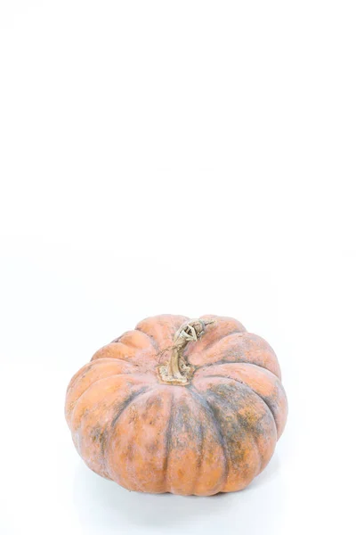 Fresh Big Raw Pumpkin White Background — Stock Photo, Image