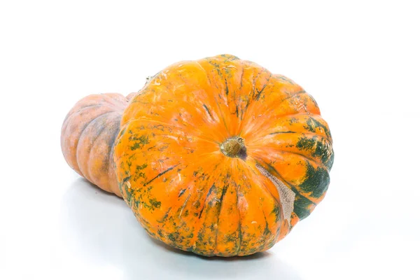 Fresh Big Raw Pumpkin White Background — Stock Photo, Image