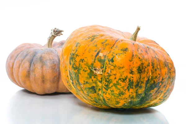 Frischer Großer Runder Roher Kürbis Auf Weißem Hintergrund — Stockfoto