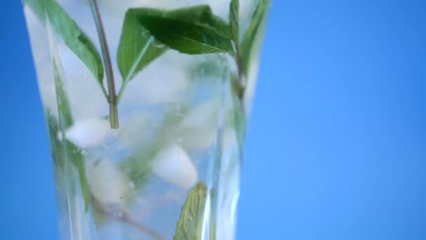 Compota fria doce de verão de maçãs frescas com um ramo de hortelã — Vídeo de Stock