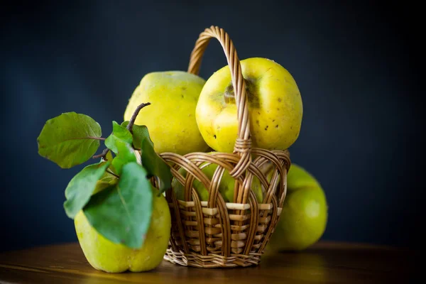 Frutti Mela Cotogna Gialli Maturi Cesto Isolato Fondo Nero — Foto Stock