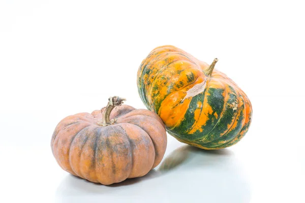 Fresh raw pumpkin isolated on white. Organic plant — Stock Photo, Image