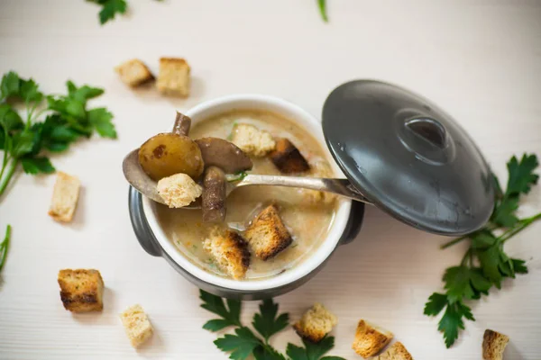 Soep puree met champignons en croutons in een kom — Stockfoto