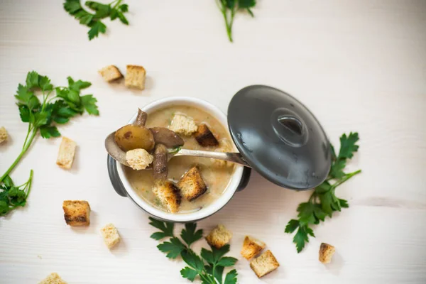 Puré de sopa con champiñones y croutons en un tazón —  Fotos de Stock