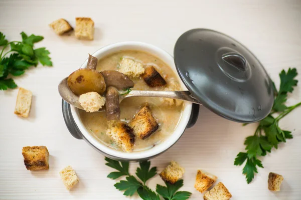 Suppenpüree mit Pilzen und Croutons in einer Schüssel — Stockfoto