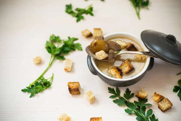 Puré de sopa con champiñones y croutons en un tazón — Foto de Stock