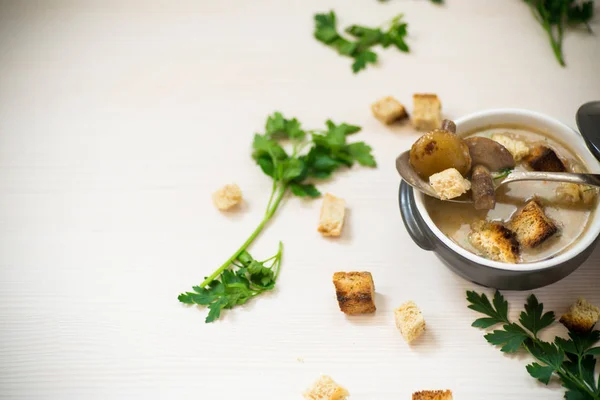 Puré de sopa con champiñones y croutons en un tazón — Foto de Stock