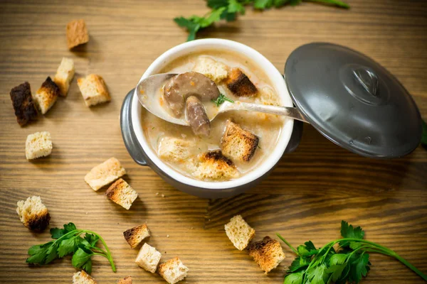 Puré de sopa con champiñones y croutons en un tazón — Foto de Stock