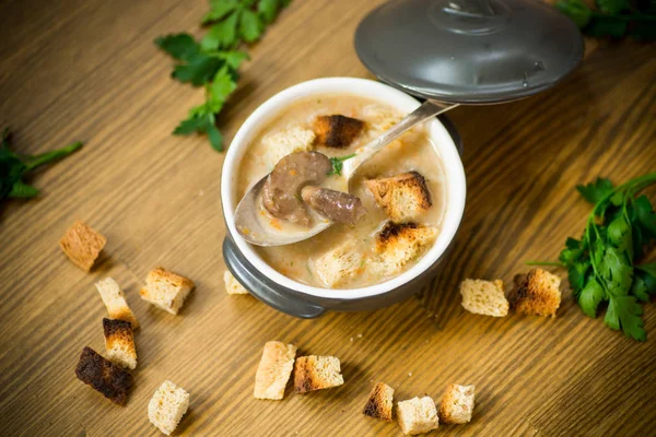 Puré de sopa con champiñones y croutons en un tazón — Foto de Stock