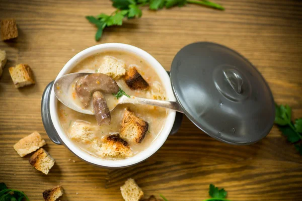 Gombával és krutonnal egy tál leves püré — Stock Fotó