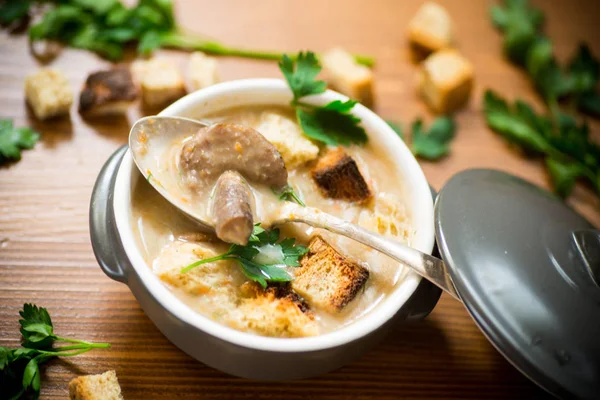 Puré de sopa con champiñones y croutons en un tazón — Foto de Stock