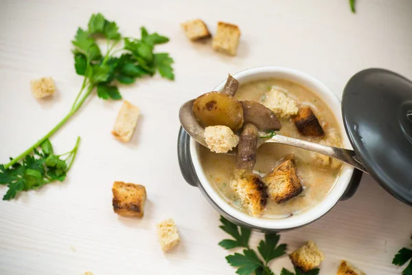 Gombával és krutonnal egy tál leves püré Stock Kép