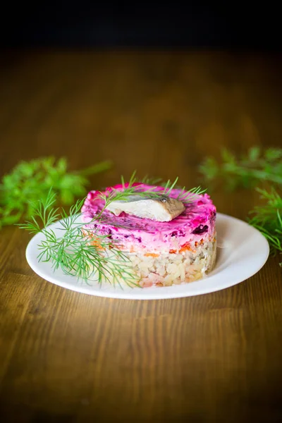レイヤー ビート グリーン プレートのニシンとゆで野菜のサラダ — ストック写真