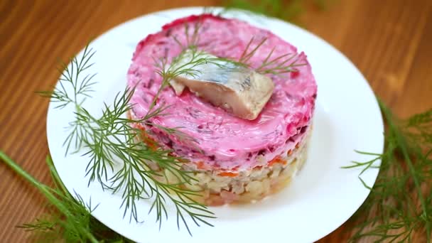 Geschichteter Salat aus gekochtem Gemüse mit Rüben und Hering — Stockvideo