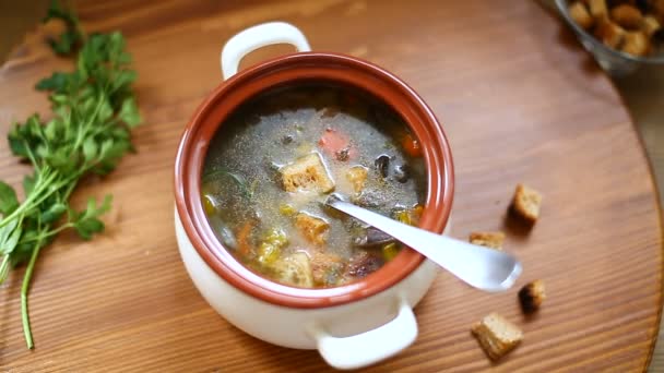 Sopa de legumes caseira com cogumelos selvagens e pimentas em um prato — Vídeo de Stock