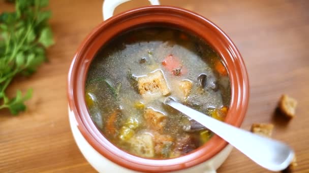 Hausgemachte Gemüsesuppe mit Waldpilzen und Paprika im Teller — Stockvideo