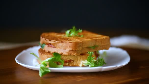 Sándwich doble caliente con hojas de lechuga y relleno en un plato — Vídeo de stock