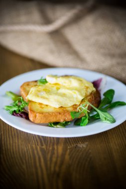 ahşap bir masa üzerinde bir tabak kızarmış yumurta ile yumurta, kızarmış kruton