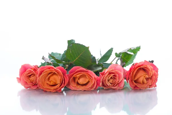Ramo de hermosas rosas rosadas aisladas en blanco —  Fotos de Stock