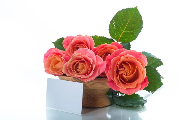 Strauß schöner rosa Rosen isoliert auf weißem Grund — Stockfoto