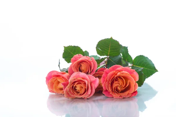 Ramo de hermosas rosas rosadas aisladas en blanco — Foto de Stock