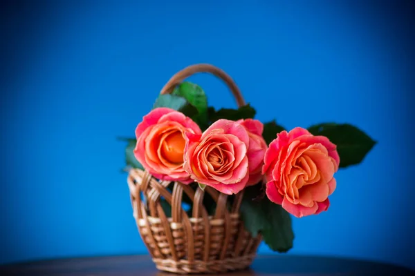 Ramo de hermosas rosas rosadas aisladas en azul —  Fotos de Stock