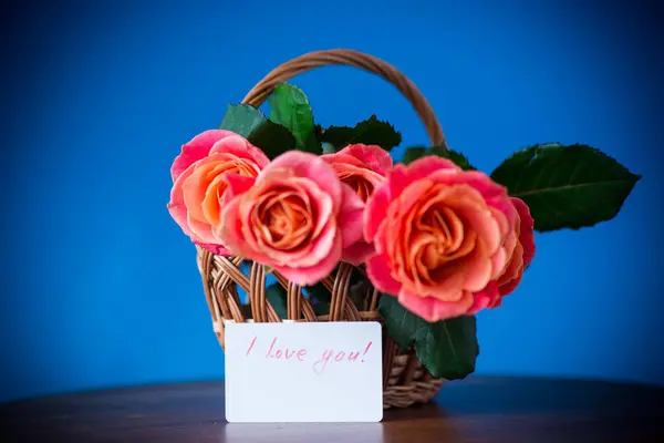 Buquê de belas rosas rosa isoladas em azul — Fotografia de Stock