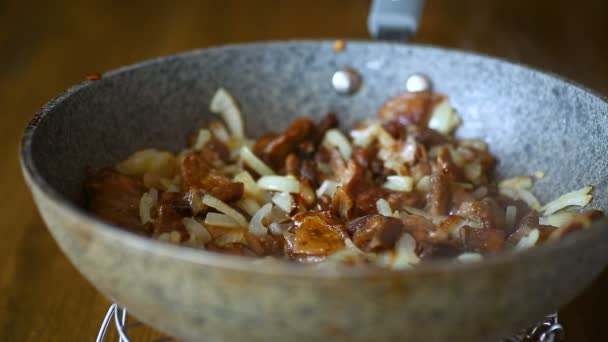 Biologische bos paddestoelen gebakken met uien in een pan — Stockvideo