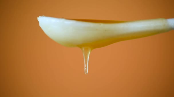 Miel sucré coulant d'une cuillère sur une orange — Video