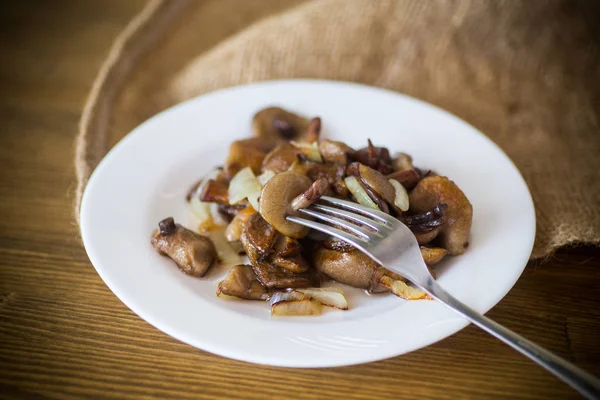 Funghi porcini fritti con cipolle in un piatto — Foto Stock