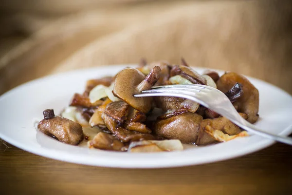 Funghi porcini fritti con cipolle in un piatto — Foto Stock