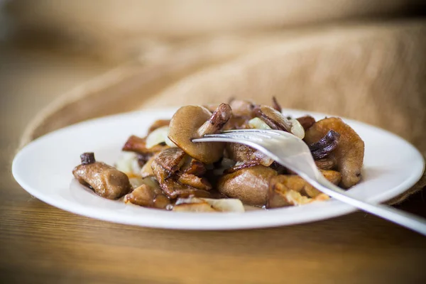 Boletus champiñones fritos con cebolla en un plato —  Fotos de Stock