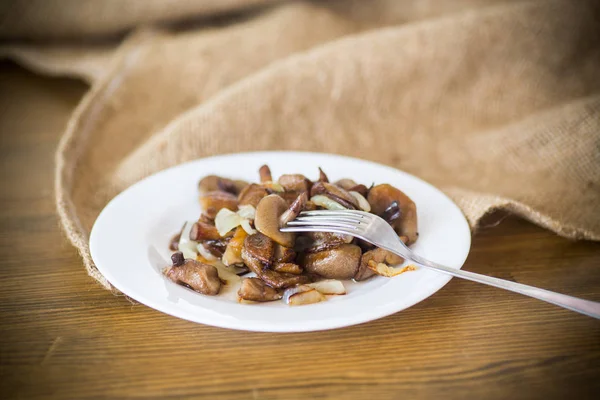 Champignons bolets frits avec des oignons dans une assiette — Photo