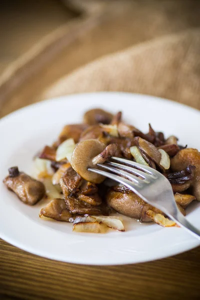 Funghi porcini fritti con cipolle in un piatto — Foto Stock