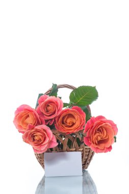 Beyaz izole güzel pembe gül buketi