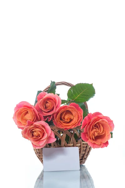 Gyönyörű rózsaszín rózsa, elszigetelt fehér csokor — Stock Fotó