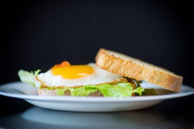taze sandviç ile marul yaprakları ve sıcak tost ile yumurta kızarmış