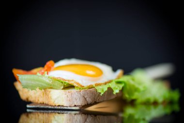 taze sandviç ile marul yaprakları ve sıcak tost ile yumurta kızarmış