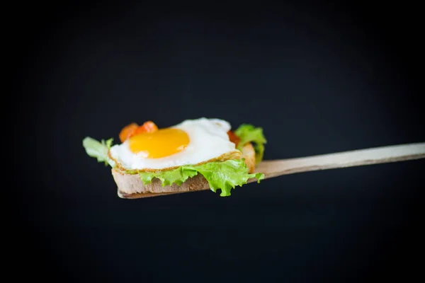 Panino fresco con foglie di lattuga e uovo fritto con toast caldi Foto Stock