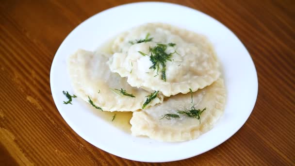 Gnocchi bolliti ripieni in un piatto, piatto nazionale ucraino. — Video Stock