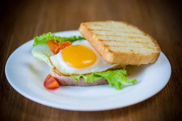 Sandwich Frais Aux Feuilles Laitue Œuf Frit Aux Toasts Chauds — Photo