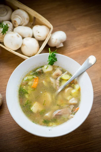 Sopa rural casera con verduras y champiñones en un bol —  Fotos de Stock