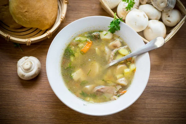 Homemade rural soup with vegetables and mushrooms in a bowl — Stock Photo, Image