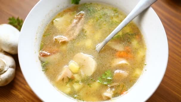 Homemade rural soup with vegetables and mushrooms in a bowl — Stock Footage Homemade rural soup with vegetables and mushrooms in a bowl Royalty Free Stock Footage